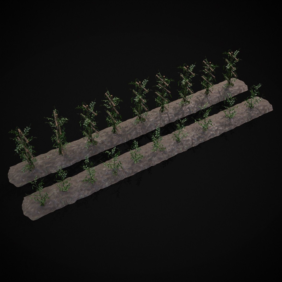 Crops Peas Plants 3D Model – Low Poly PBR Game Asset, FBX & OBJ - View 24
