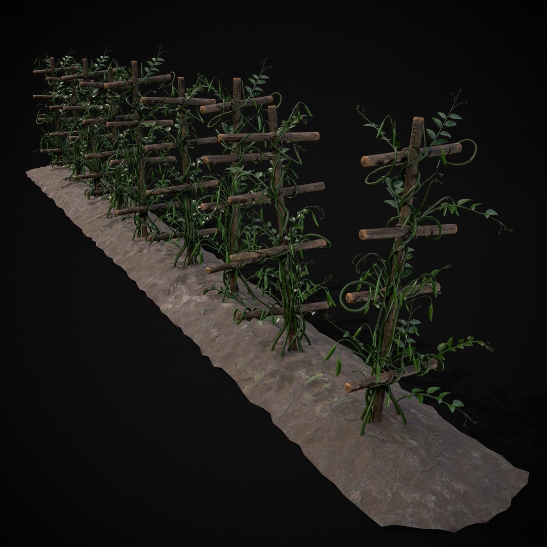 Crops Peas Plants 3D Model – Low Poly PBR Game Asset, FBX & OBJ - View 8