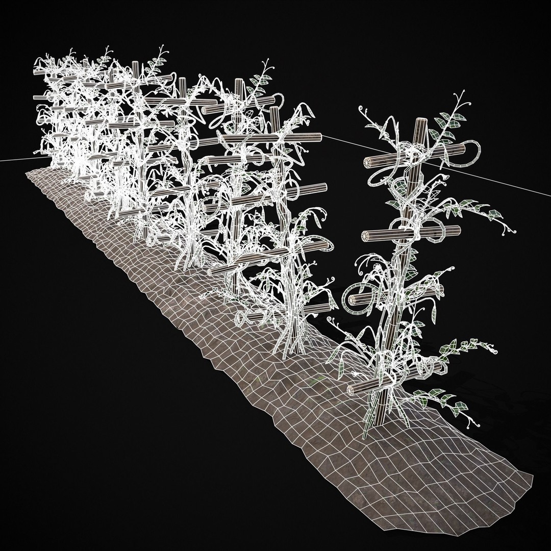 Crops Peas Plants 3D Model – Low Poly PBR Game Asset, FBX & OBJ - View 9