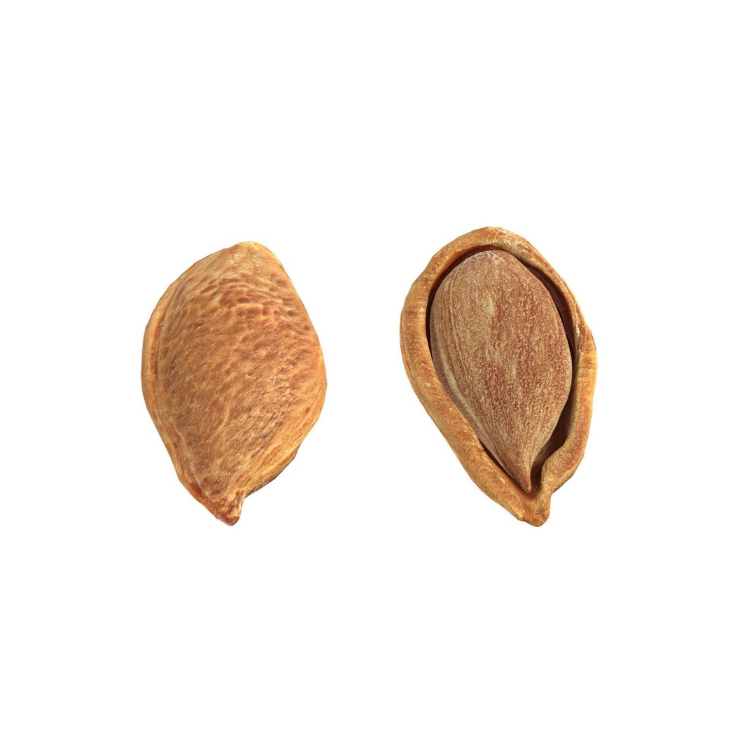 Seed Collection 3D Model – Low Poly Food Asset, Blender, FBX, OBJ - View 12