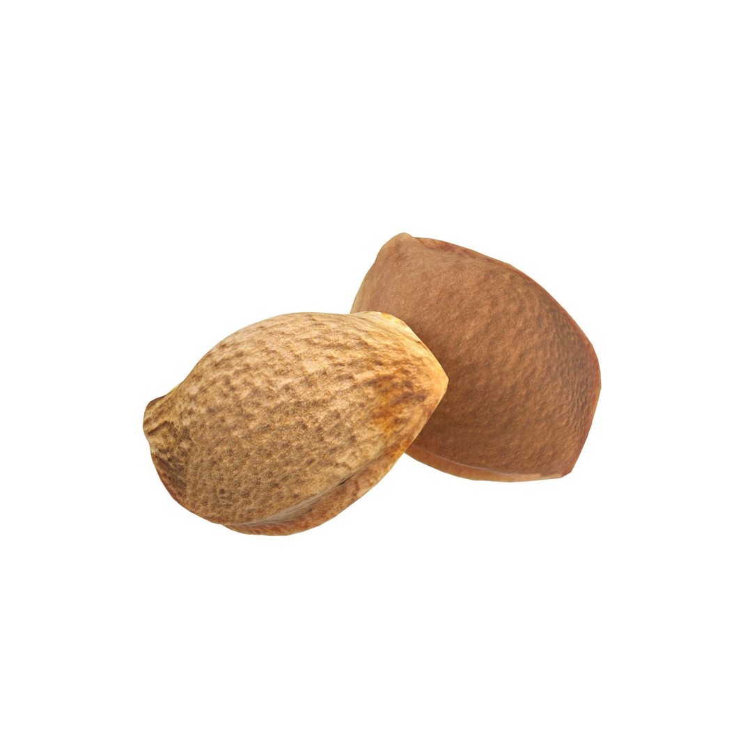 Seed Collection 3D Model – Low Poly Food Asset, Blender, FBX, OBJ - View 13