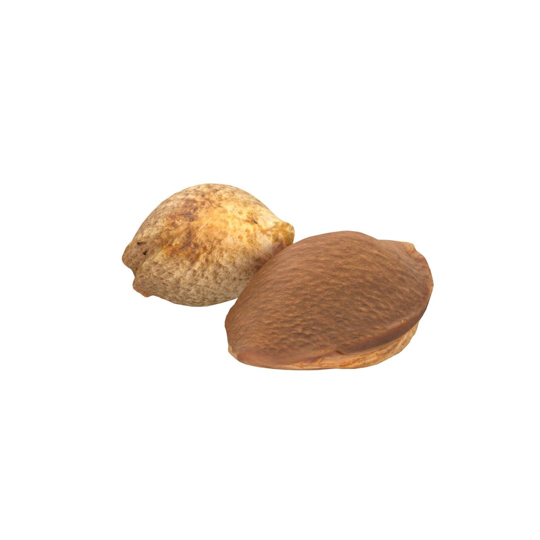 Seed Collection 3D Model – Low Poly Food Asset, Blender, FBX, OBJ - View 14