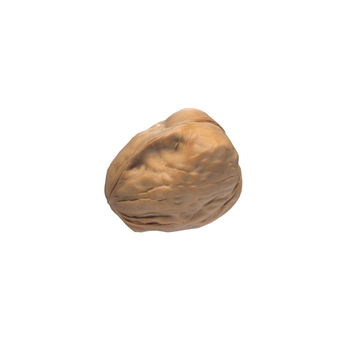 Seed Collection 3D Model – Low Poly Food Asset, Blender, FBX, OBJ - View 3