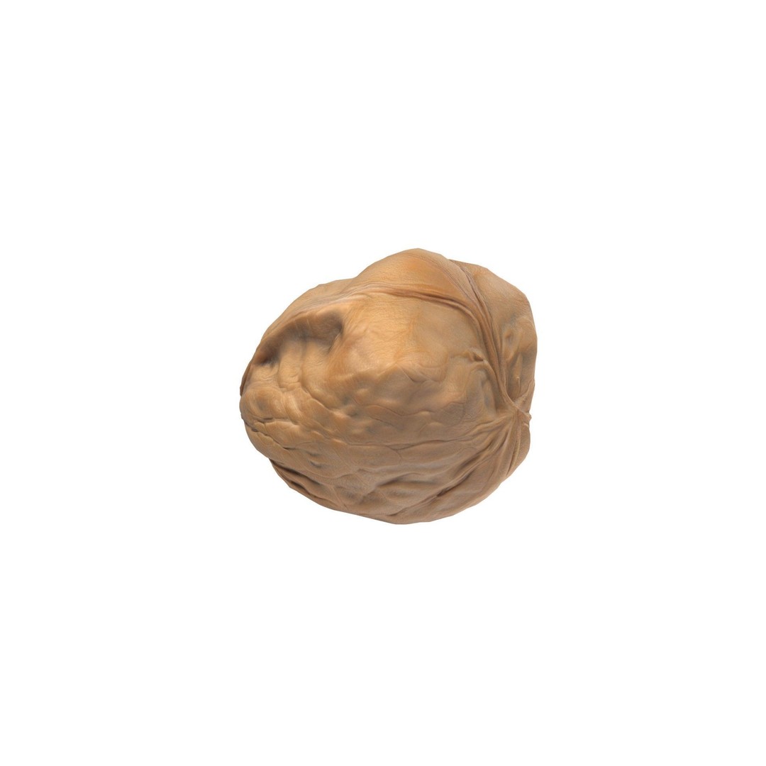 Seed Collection 3D Model – Low Poly Food Asset, Blender, FBX, OBJ - View 4