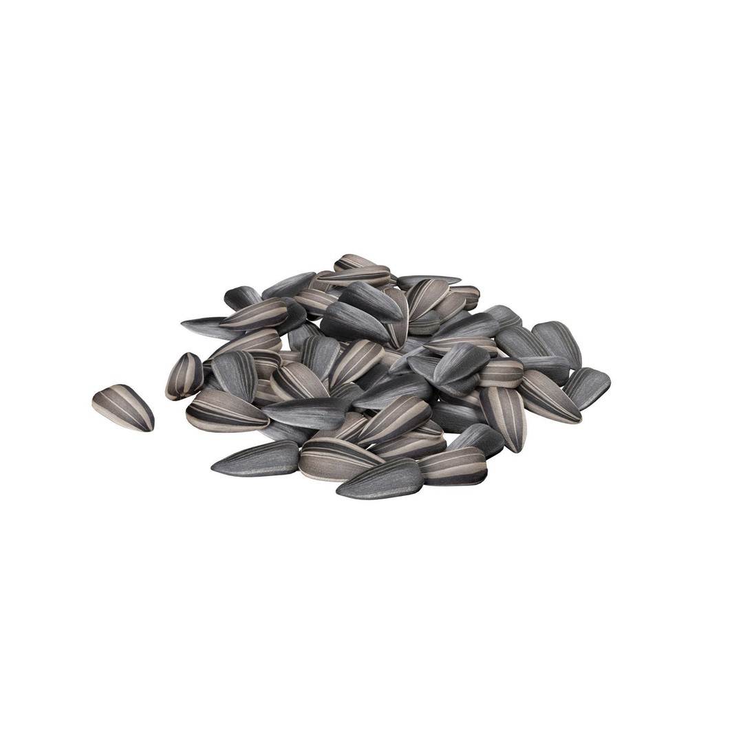 Seed Collection 3D Model – Low Poly Food Asset, Blender, FBX, OBJ - View 5