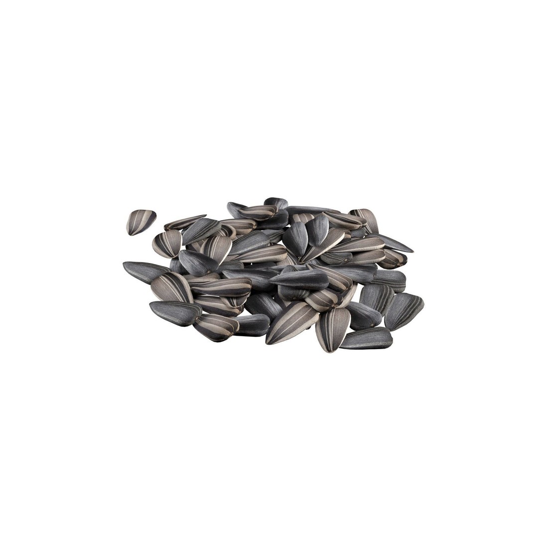 Seed Collection 3D Model – Low Poly Food Asset, Blender, FBX, OBJ - View 6