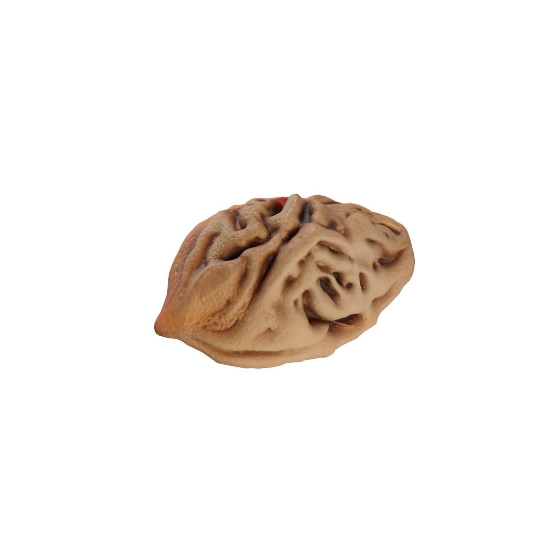 Seed Collection 3D Model – Low Poly Food Asset, Blender, FBX, OBJ - View 9