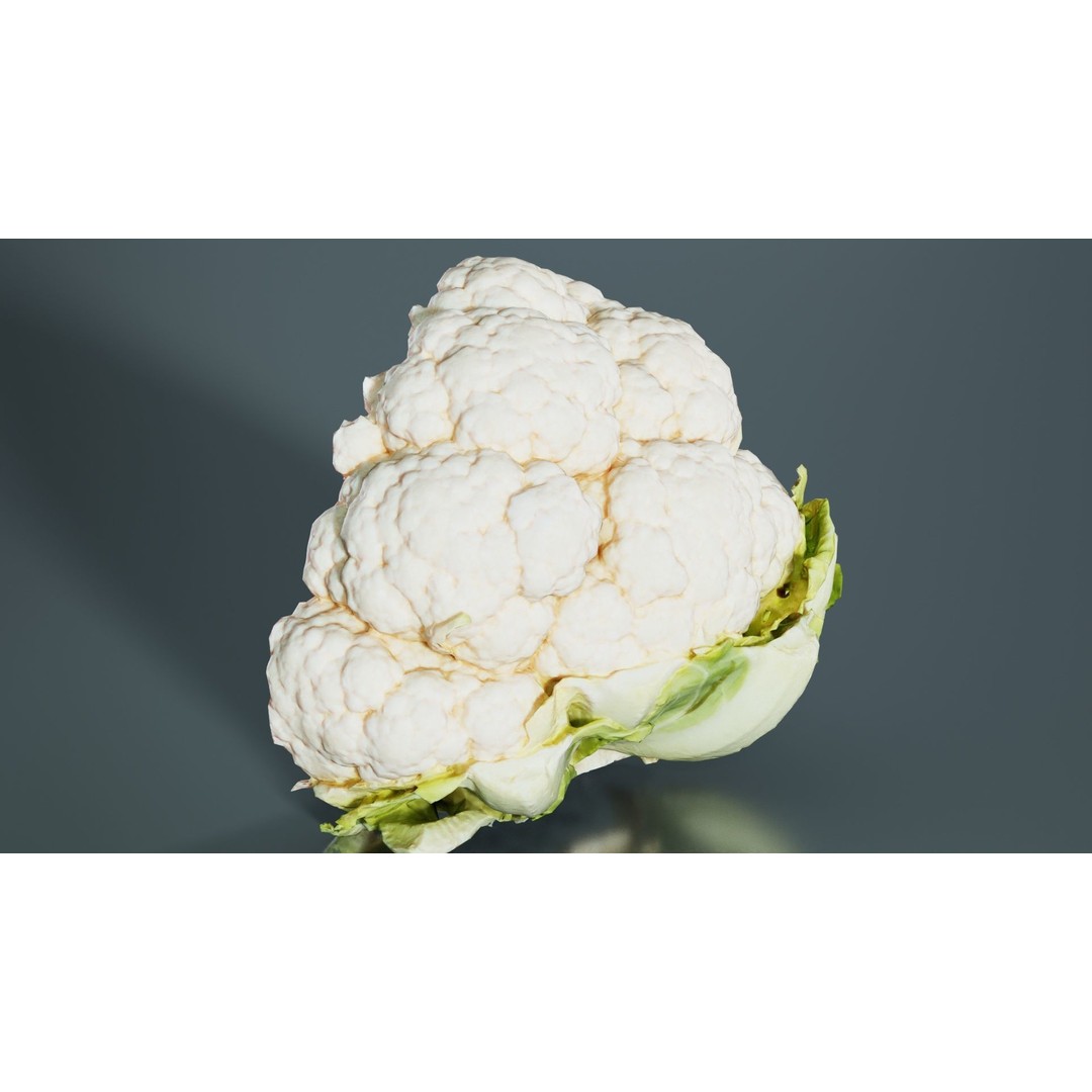 Cauliflower 3D Model – Low Poly Game Asset, FBX, PBR Textures - View 10