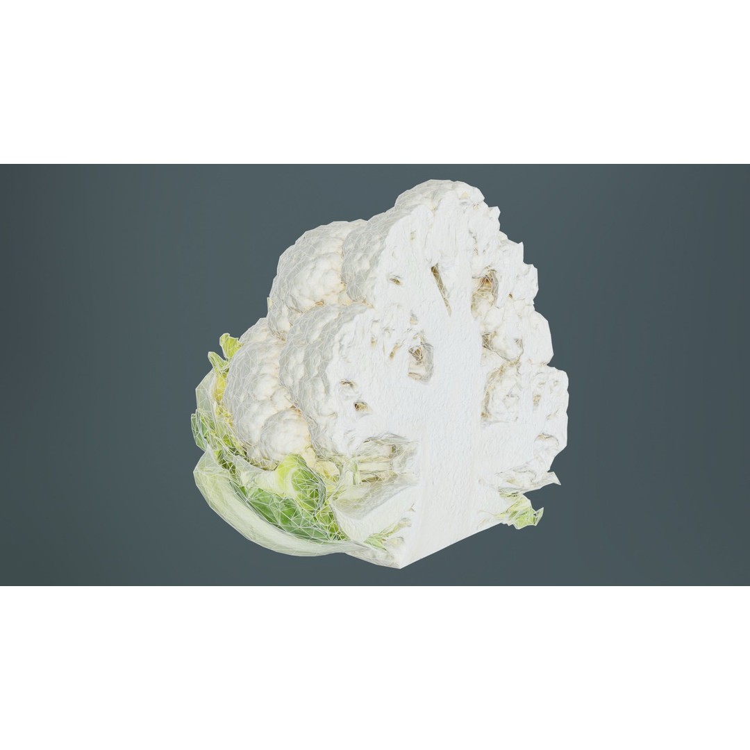 Cauliflower 3D Model – Low Poly Game Asset, FBX, PBR Textures - View 11