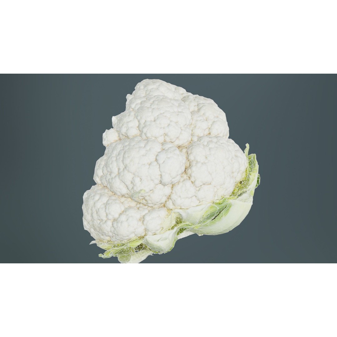 Cauliflower 3D Model – Low Poly Game Asset, FBX, PBR Textures - View 12
