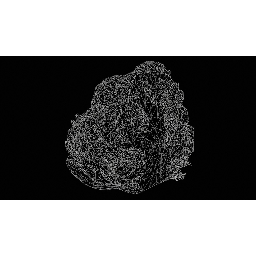 Cauliflower 3D Model – Low Poly Game Asset, FBX, PBR Textures - View 13