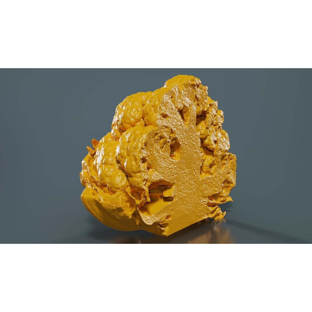 Cauliflower 3D Model – Low Poly Game Asset, FBX, PBR Textures - View 14