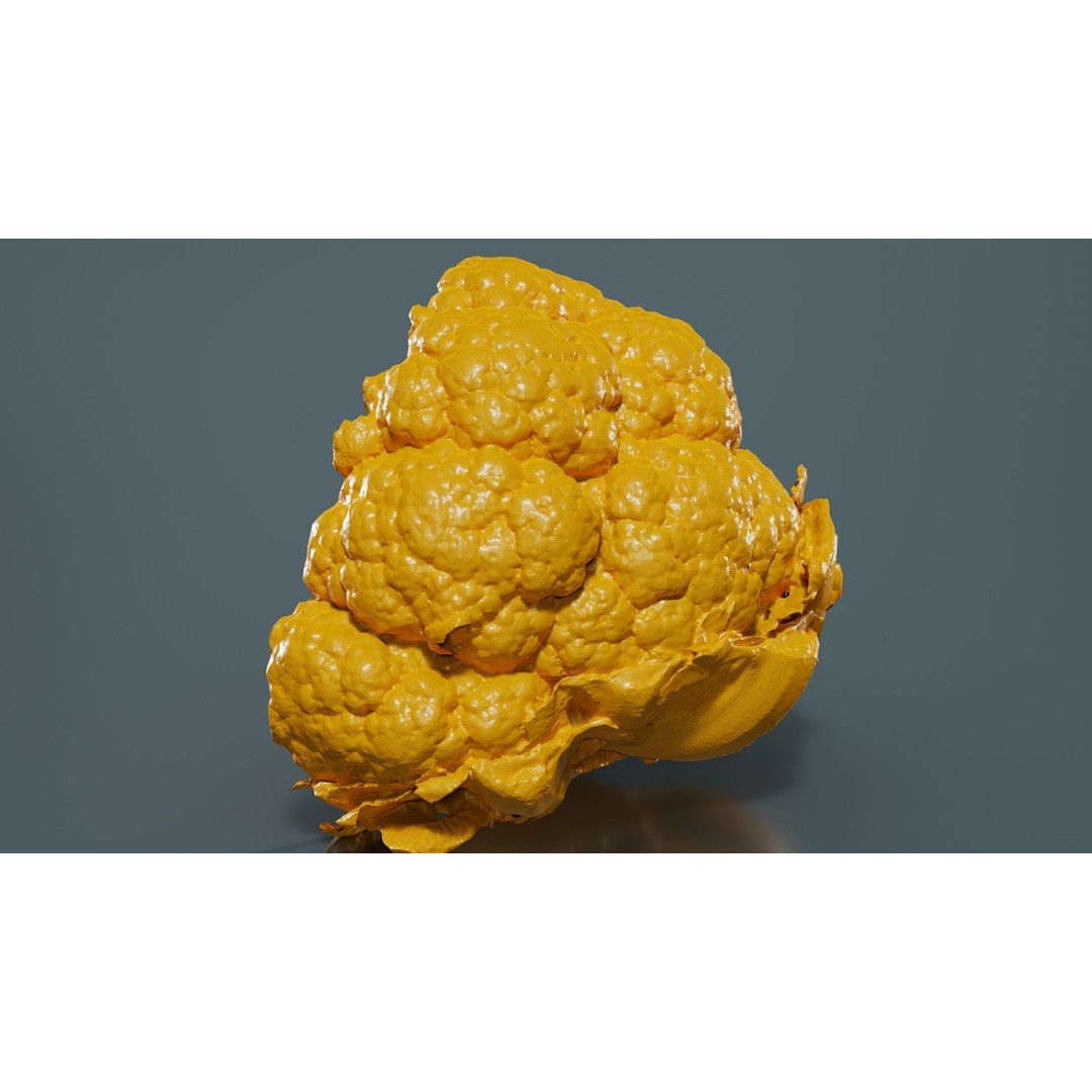 Cauliflower 3D Model – Low Poly Game Asset, FBX, PBR Textures - View 15