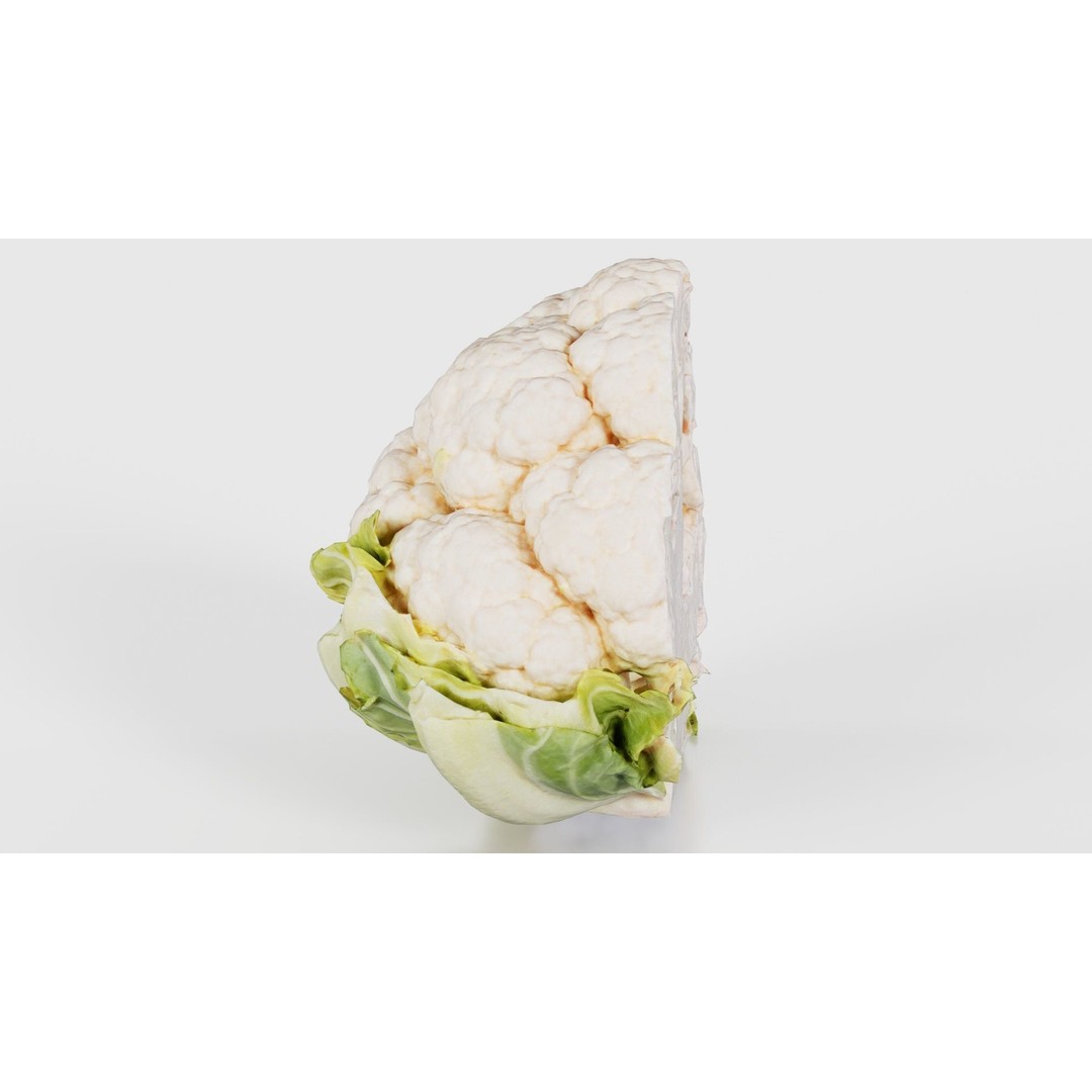 Cauliflower 3D Model – Low Poly Game Asset, FBX, PBR Textures - View 18