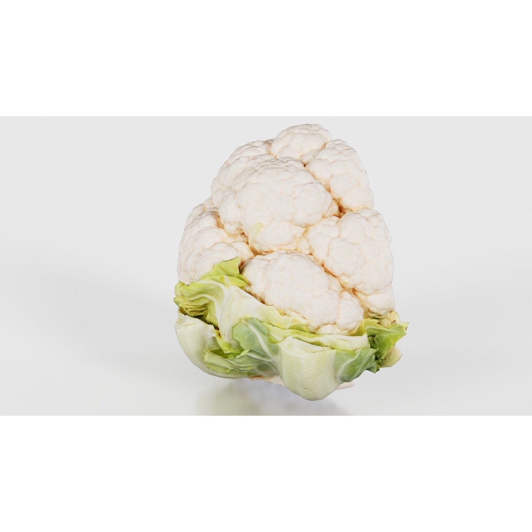 Cauliflower 3D Model – Low Poly Game Asset, FBX, PBR Textures - View 19