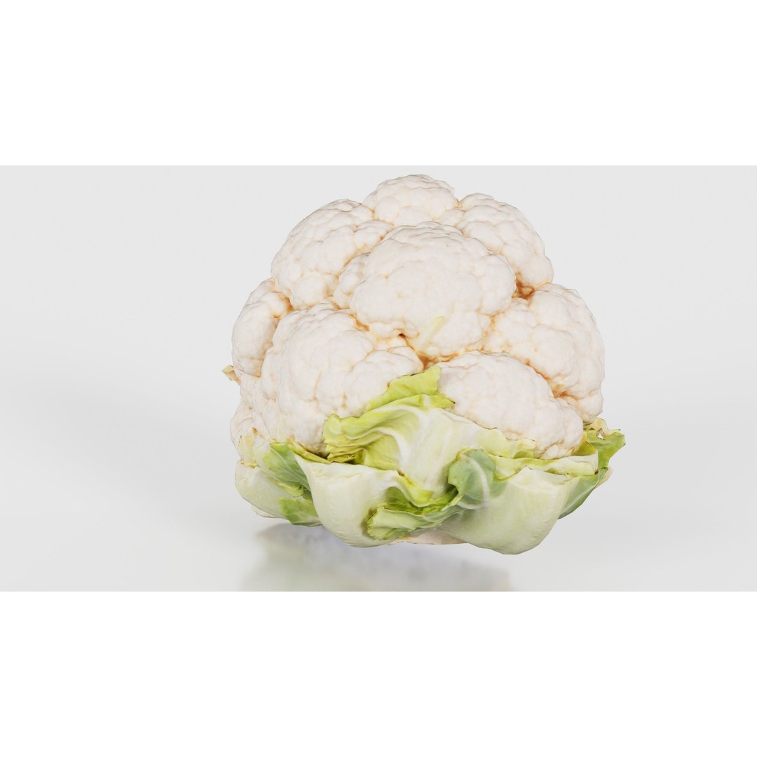 Cauliflower 3D Model – Low Poly Game Asset, FBX, PBR Textures - View 20