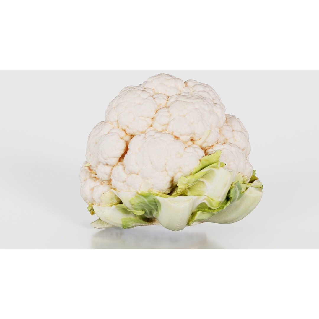 Cauliflower 3D Model – Low Poly Game Asset, FBX, PBR Textures - View 21