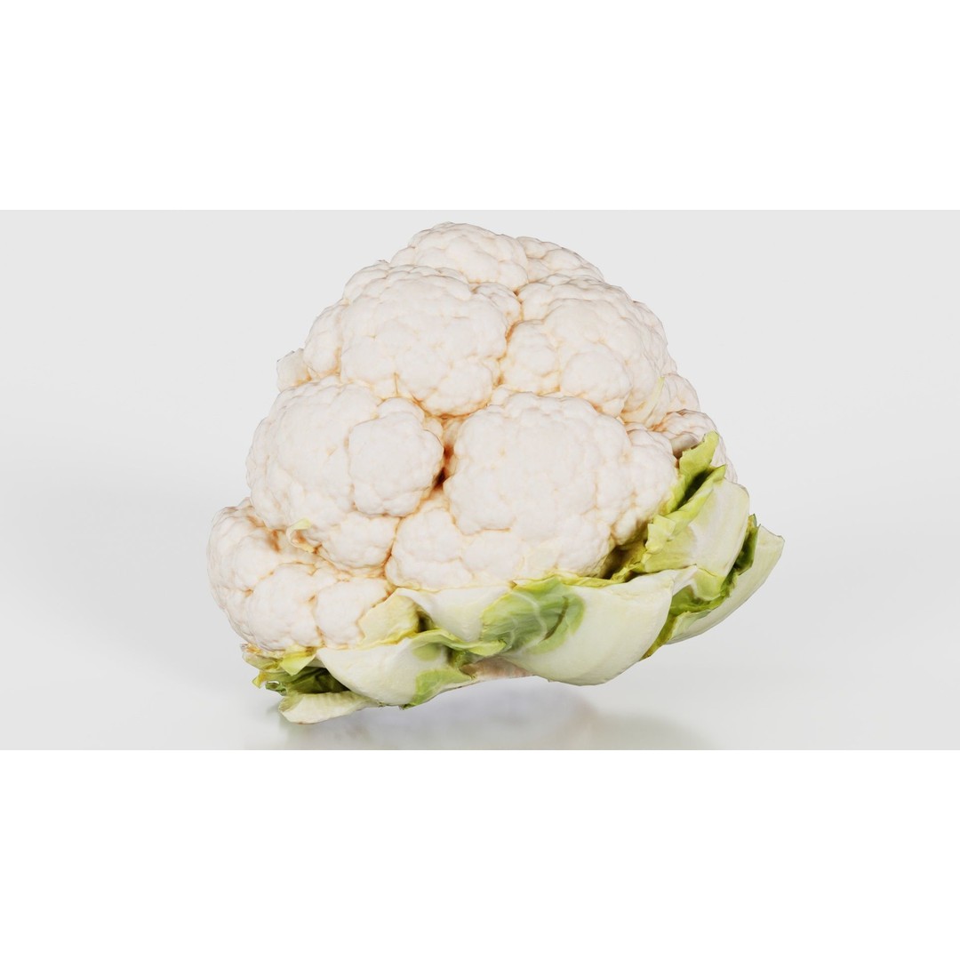 Cauliflower 3D Model – Low Poly Game Asset, FBX, PBR Textures - View 22