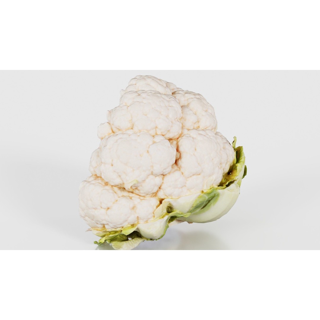 Cauliflower 3D Model – Low Poly Game Asset, FBX, PBR Textures - View 23