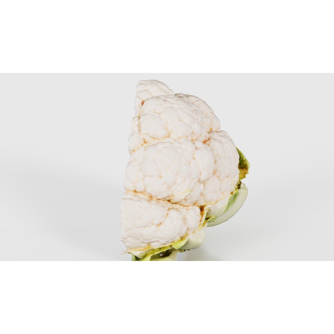 Cauliflower 3D Model – Low Poly Game Asset, FBX, PBR Textures - View 24