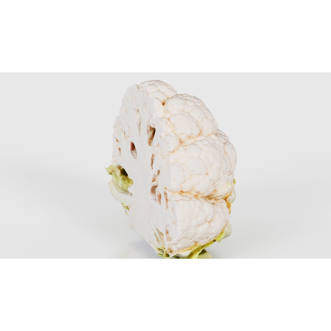Cauliflower 3D Model – Low Poly Game Asset, FBX, PBR Textures - View 25