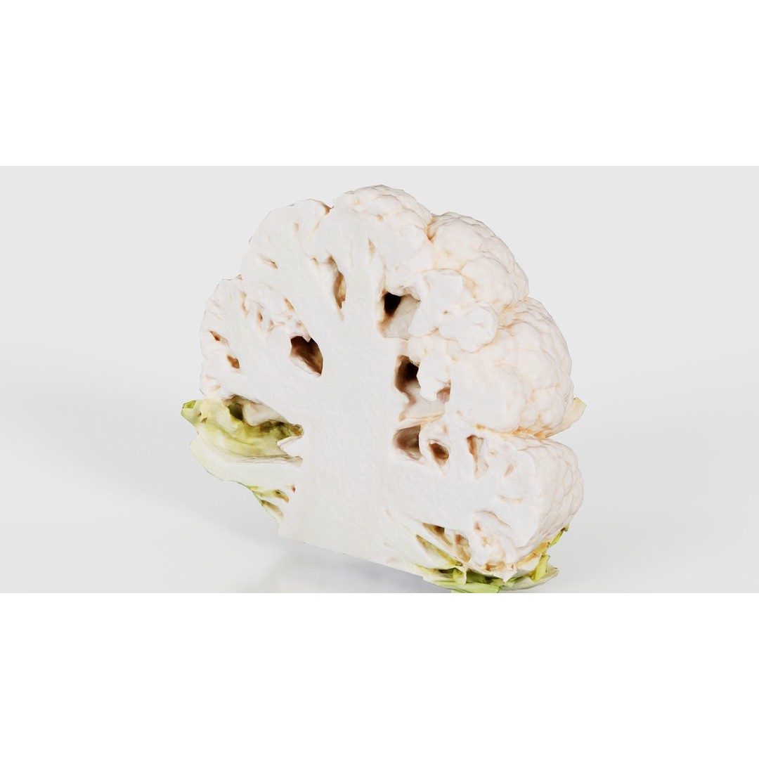 Cauliflower 3D Model – Low Poly Game Asset, FBX, PBR Textures - View 26