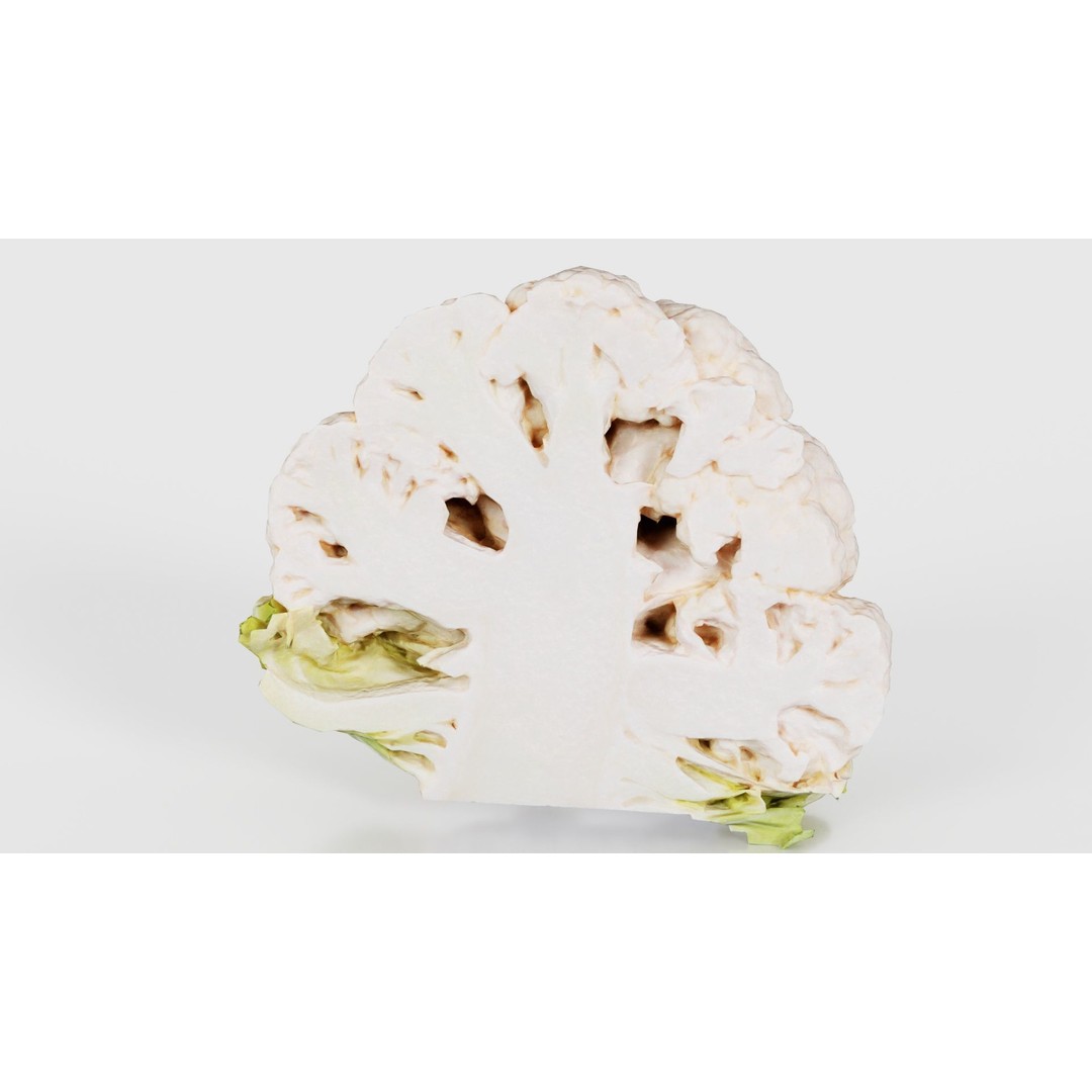 Cauliflower 3D Model – Low Poly Game Asset, FBX, PBR Textures - View 27