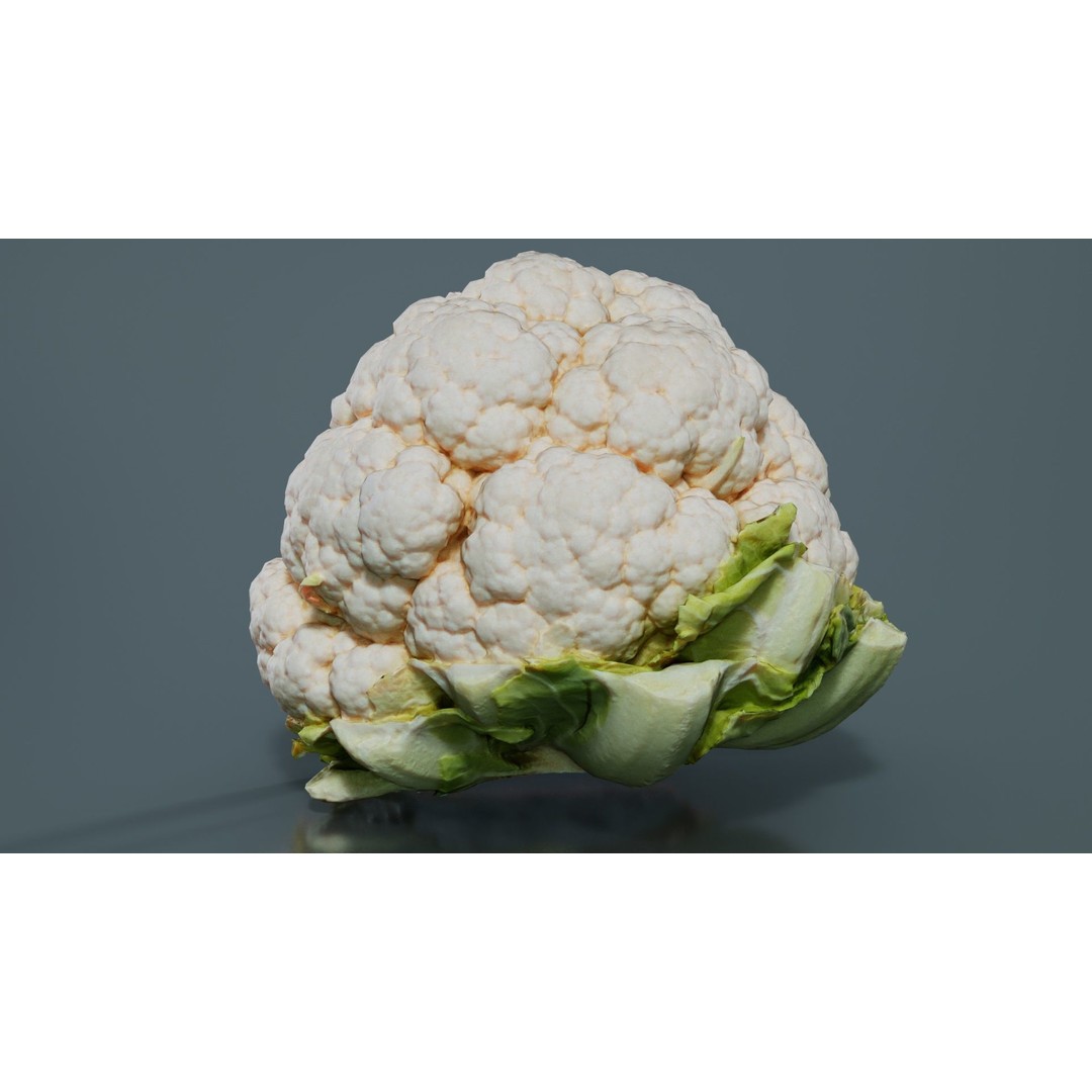 Cauliflower 3D Model – Low Poly Game Asset, FBX, PBR Textures - View 3