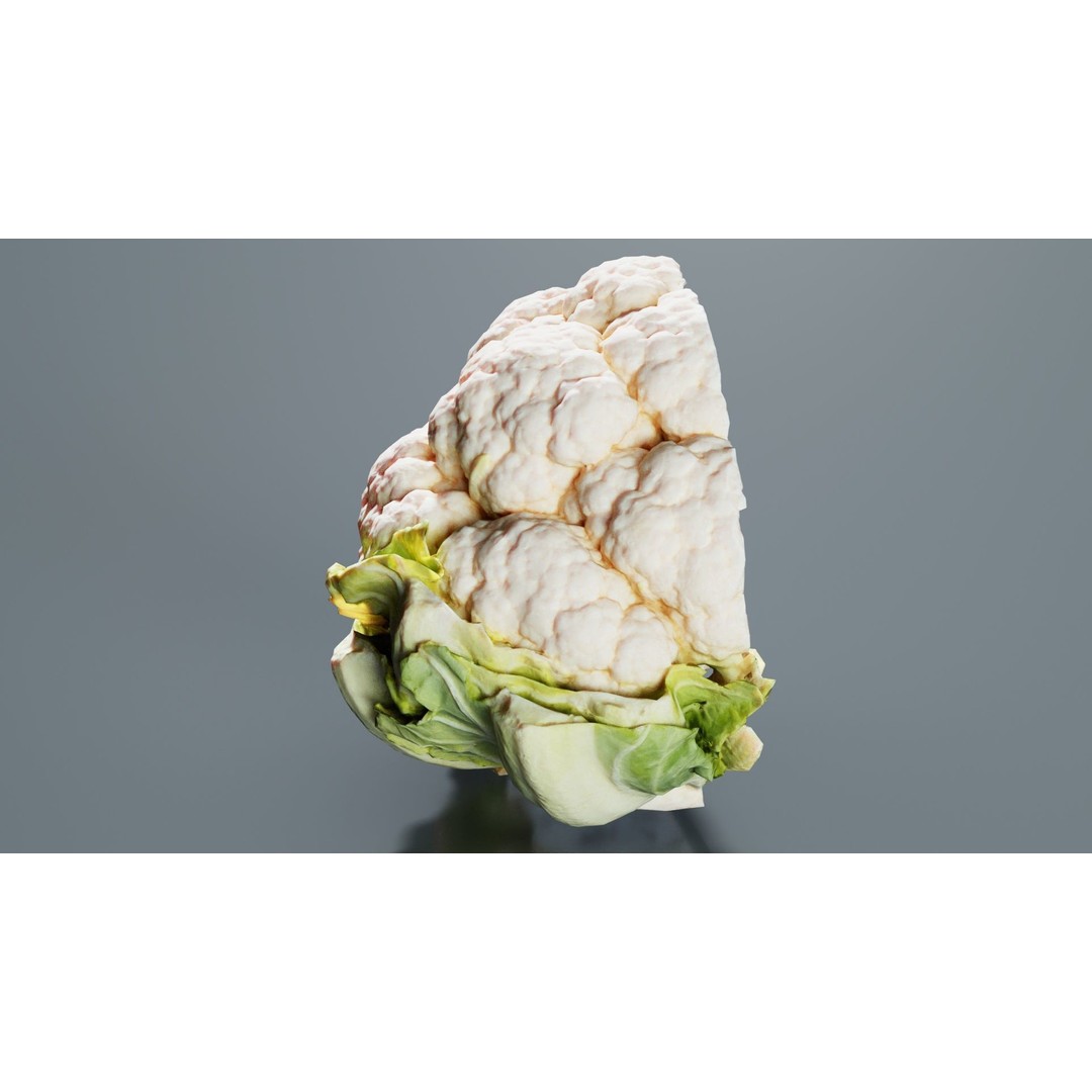 Cauliflower 3D Model – Low Poly Game Asset, FBX, PBR Textures - View 4