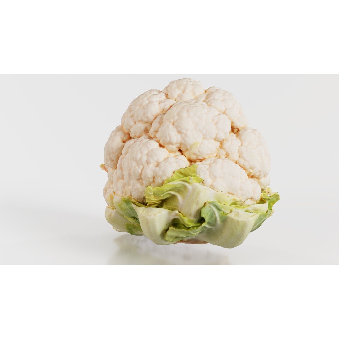 Cauliflower 3D Model – Low Poly Game Asset, FBX, PBR Textures - View 5