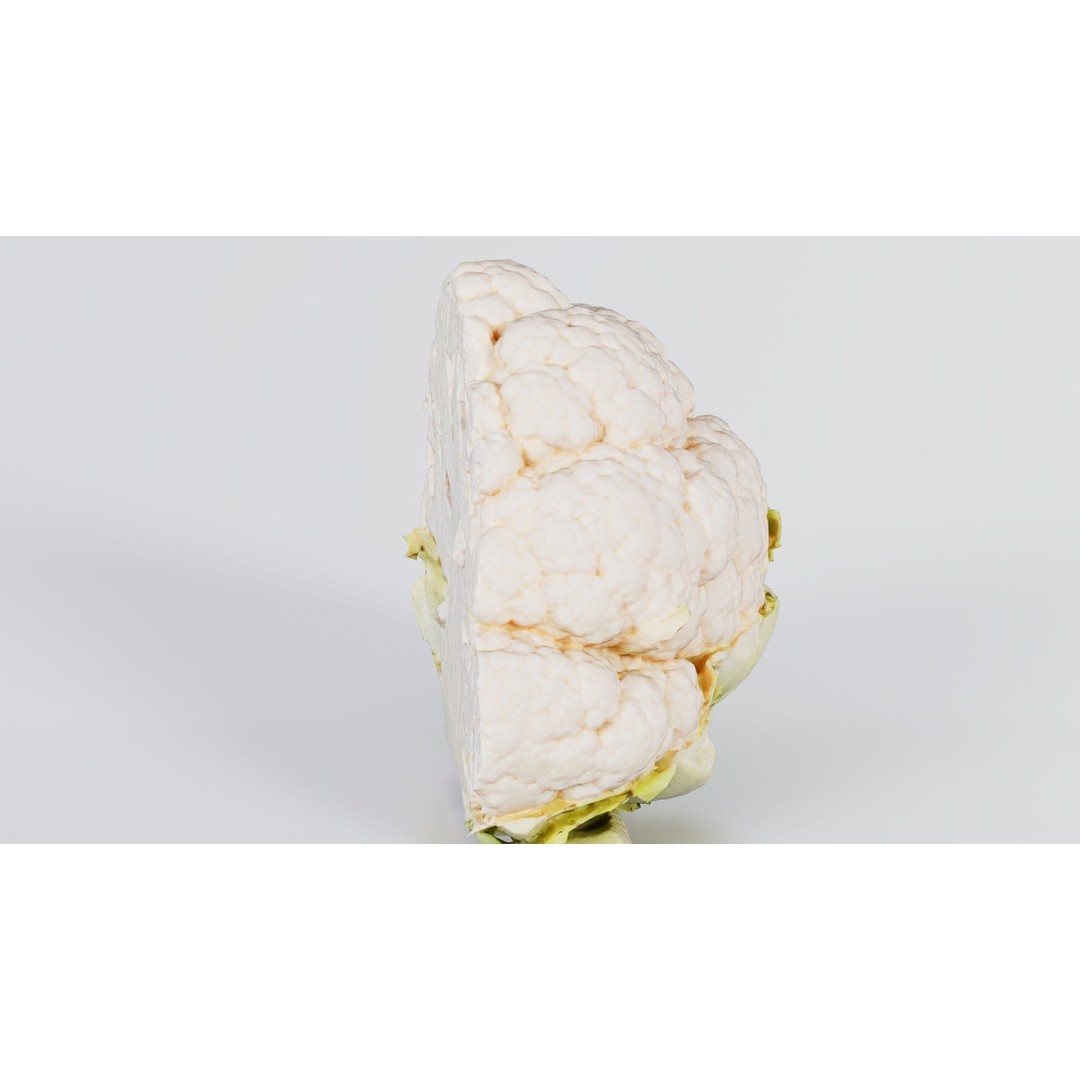 Cauliflower 3D Model – Low Poly Game Asset, FBX, PBR Textures - View 6