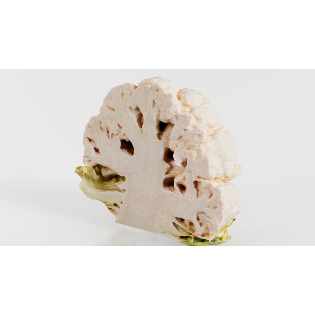 Cauliflower 3D Model – Low Poly Game Asset, FBX, PBR Textures - View 7