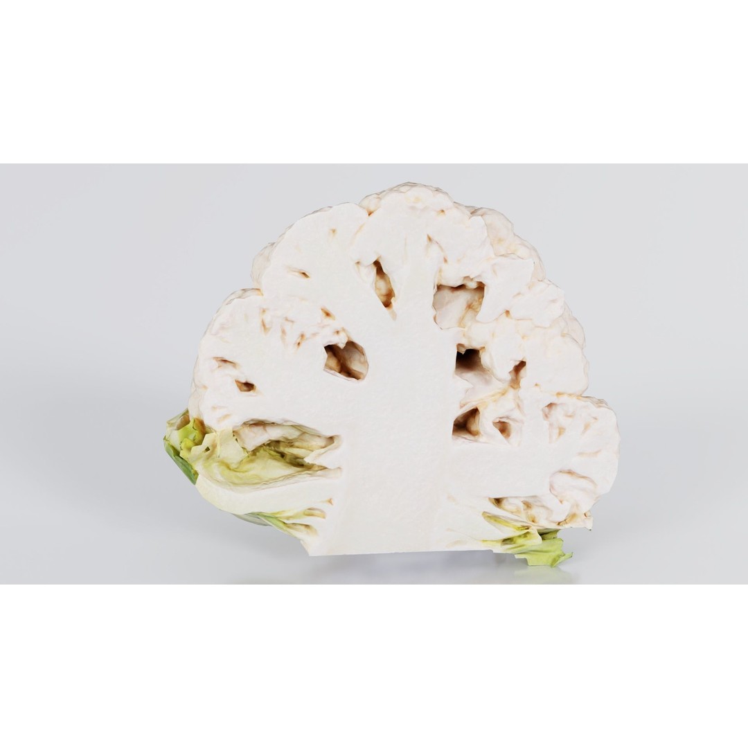 Cauliflower 3D Model – Low Poly Game Asset, FBX, PBR Textures - View 9
