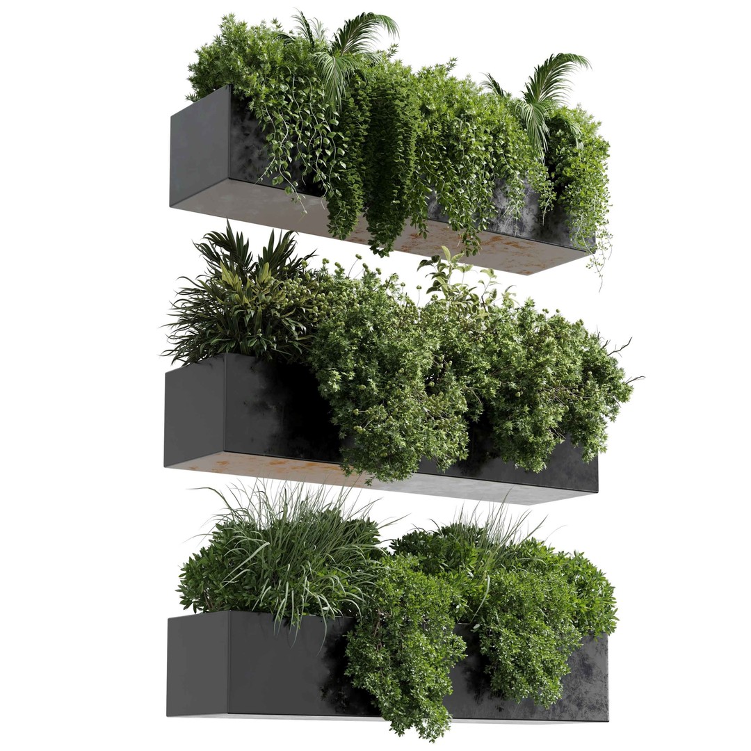 Wall Plant 3D Model – Hanging Plant Collection, PBR Textures, FBX/OBJ - View 3