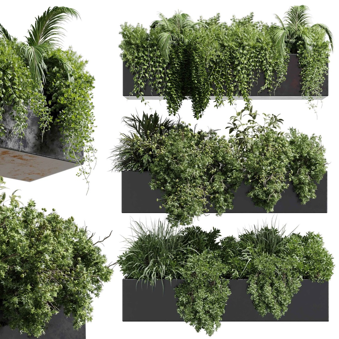Wall Plant 3D Model – Hanging Plant Collection, PBR Textures, FBX/OBJ - View 4