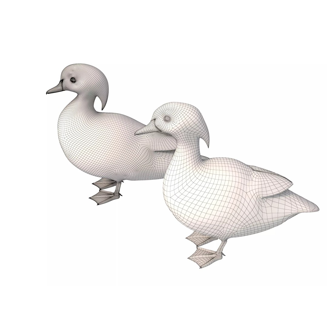 Mandarin Duck 3D Model – Low Poly Game Asset, FBX & OBJ Formats - View 10