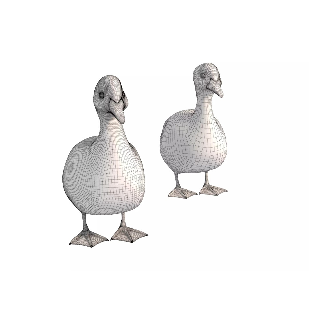 Mandarin Duck 3D Model – Low Poly Game Asset, FBX & OBJ Formats - View 11