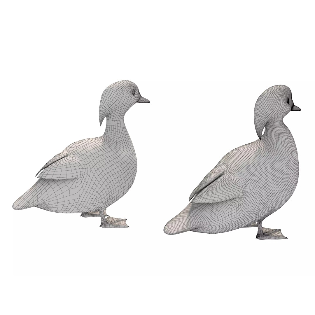 Mandarin Duck 3D Model – Low Poly Game Asset, FBX & OBJ Formats - View 12