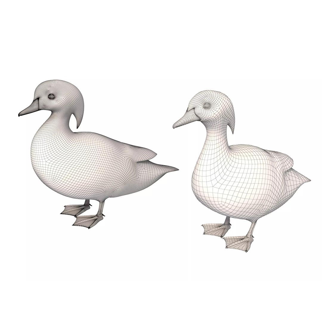 Mandarin Duck 3D Model – Low Poly Game Asset, FBX & OBJ Formats - View 13