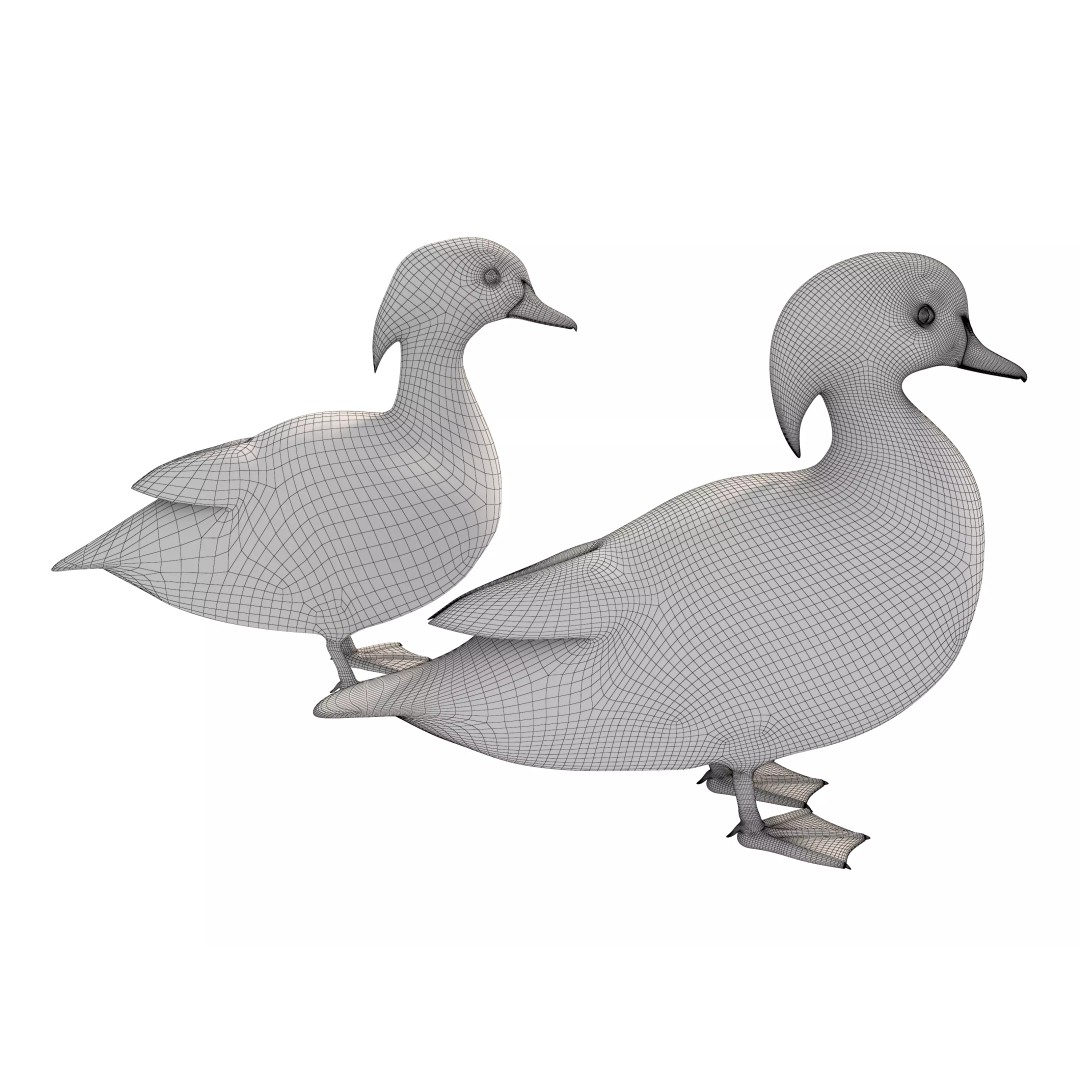 Mandarin Duck 3D Model – Low Poly Game Asset, FBX & OBJ Formats - View 14