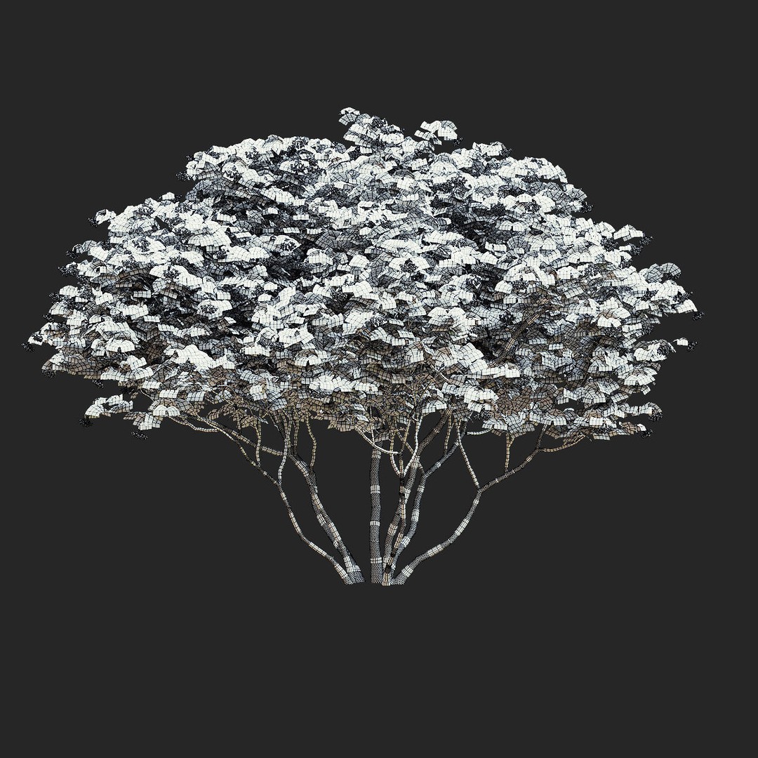 Viburnum Berries 3D Model – High Poly Plant Asset, FBX, OBJ - View 7