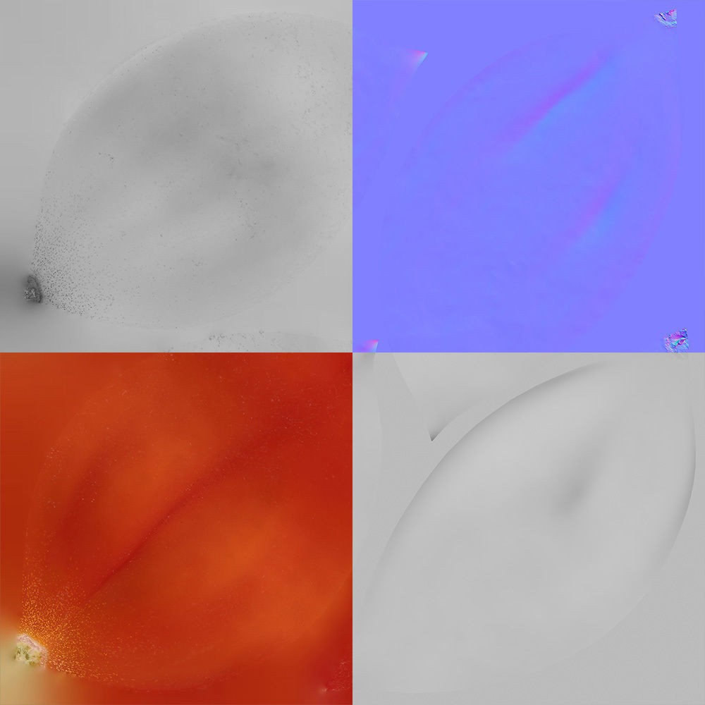 Tomato 3D Model – Photorealistic PBR Asset, FBX and OBJ Formats - View 10