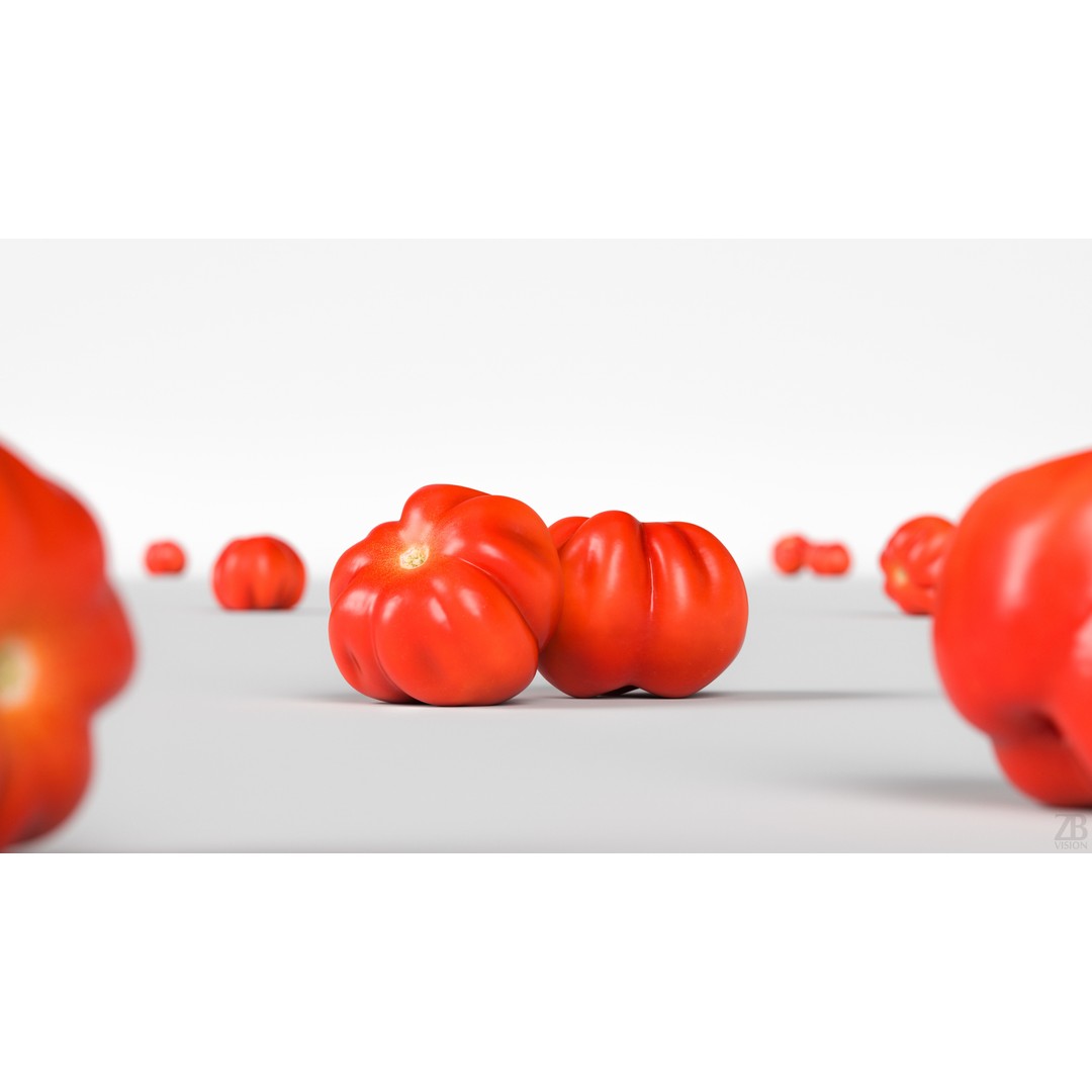 Tomato 3D Model – Photorealistic PBR Asset, FBX and OBJ Formats - View 3