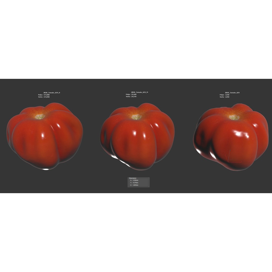 Tomato 3D Model – Photorealistic PBR Asset, FBX and OBJ Formats - View 7