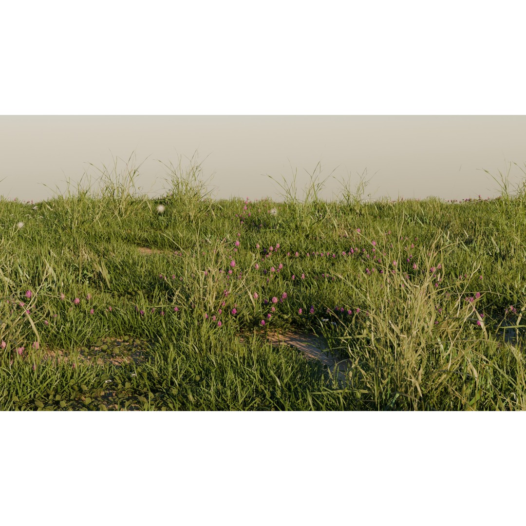 Grass Pack 3D Model – Realistic Biome Vegetation, PBR Textures - View 4