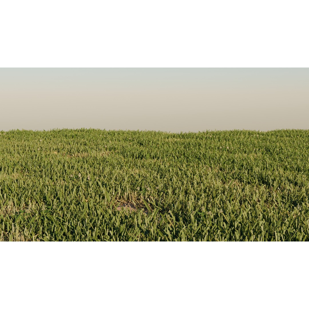 Grass Pack 3D Model – Realistic Biome Vegetation, PBR Textures - View 5