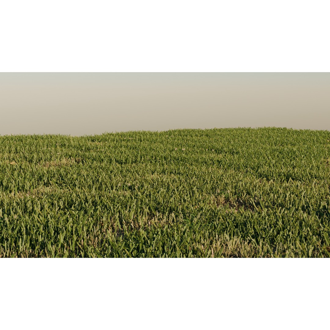 Grass Pack 3D Model – Realistic Biome Vegetation, PBR Textures - View 6