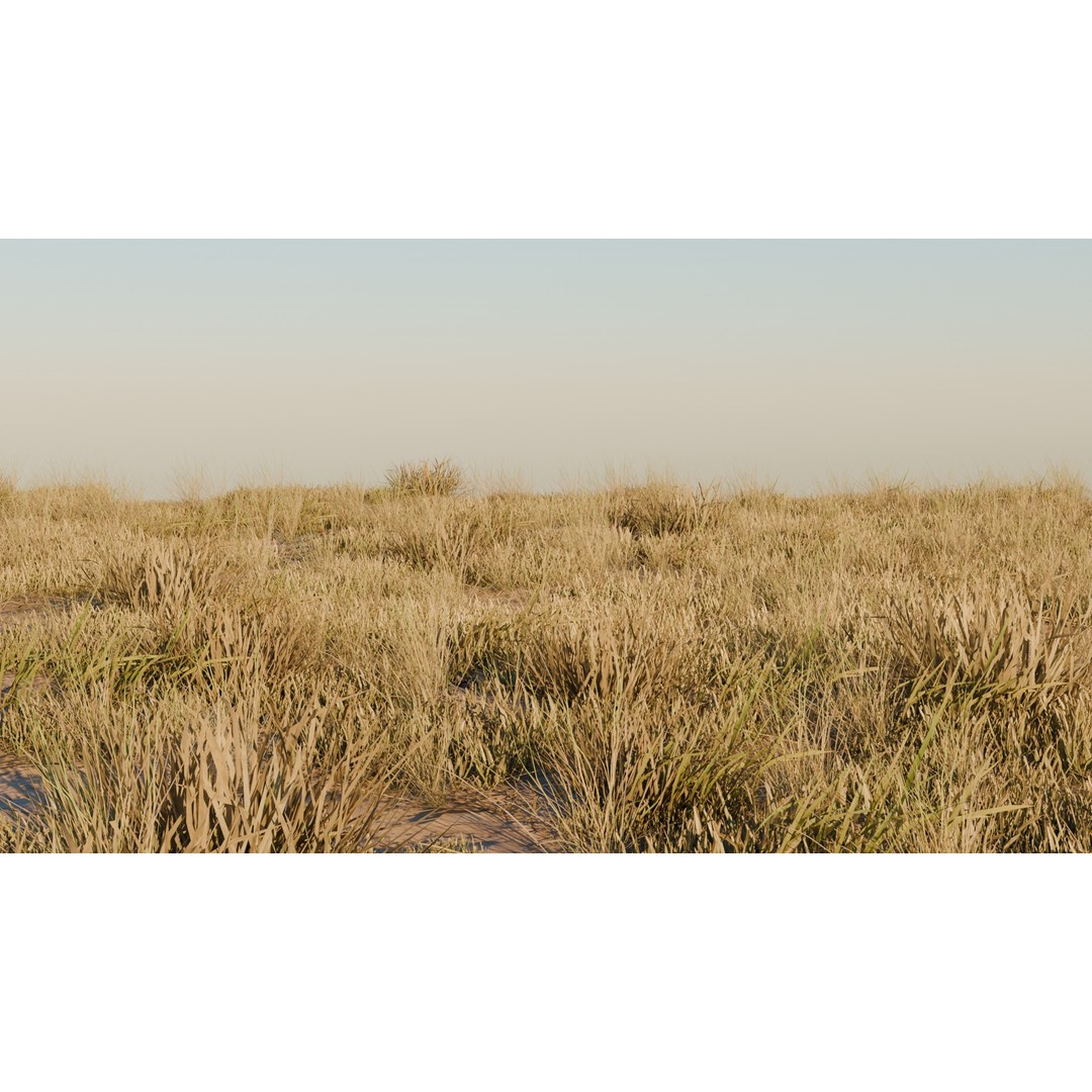 Grass Pack 3D Model – Realistic Biome Vegetation, PBR Textures - View 7