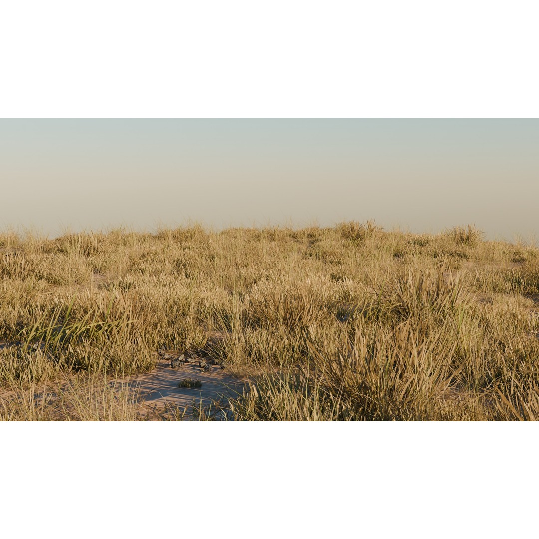 Grass Pack 3D Model – Realistic Biome Vegetation, PBR Textures - View 8