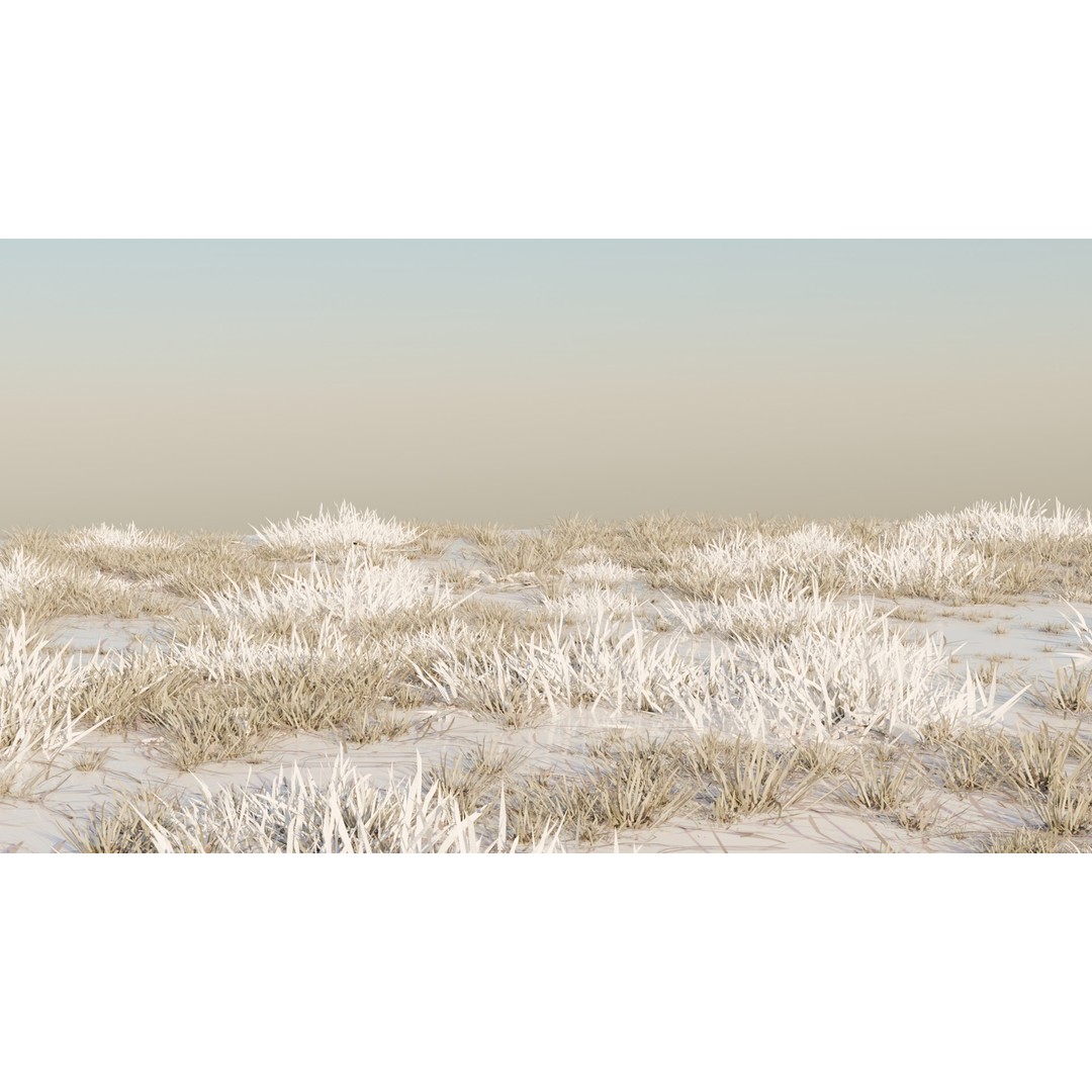 Grass Pack 3D Model – Realistic Biome Vegetation, PBR Textures - View 9
